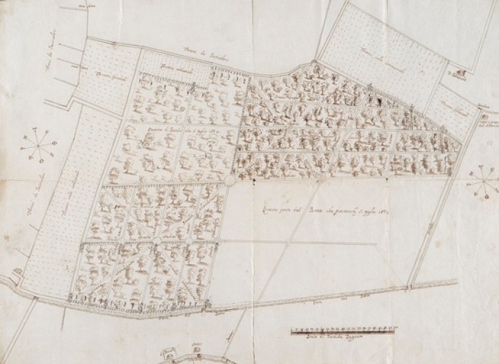 Mappa del bosco storico di Nonantola diviso in quadre, 1675. Mappario Estense, Serie Territori, n° 37, Archivio di Stato di Modena